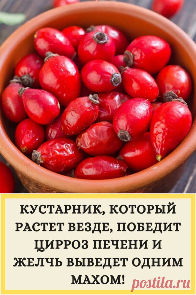 КУСТАРНИК, КОТОРЫЙ РАСТЕТ ВЕЗДЕ, ПОБЕДИТ ЦИРРОЗ ПЕЧЕНИ И ЖЕЛЧЬ ВЫВЕДЕТ ОДНИМ МАХОМ!