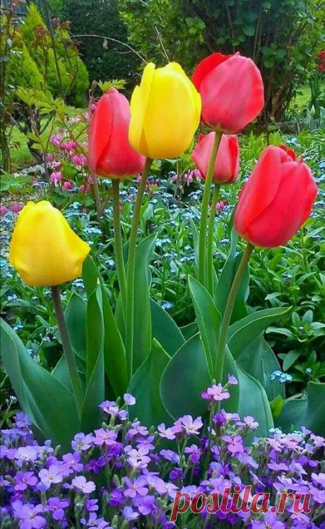 (1) Группы | Facebook