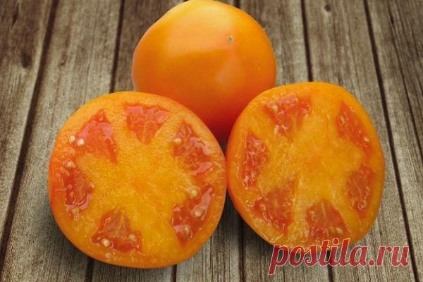 Томат Айсан: описание и характеристики сорта с фото