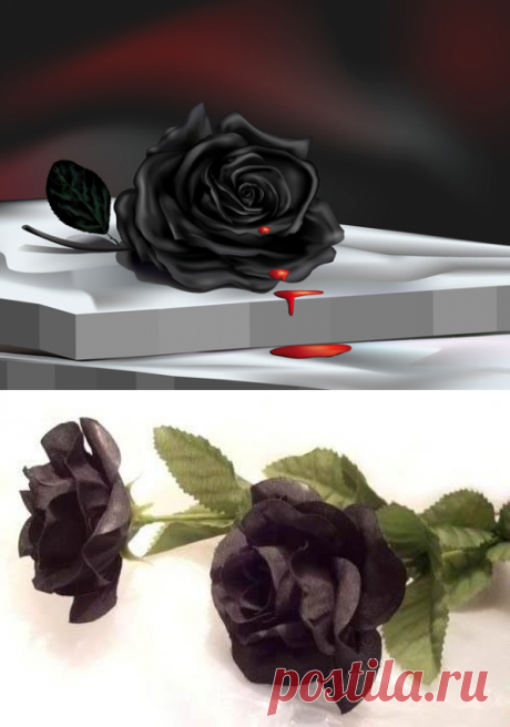 (99) Одноклассники