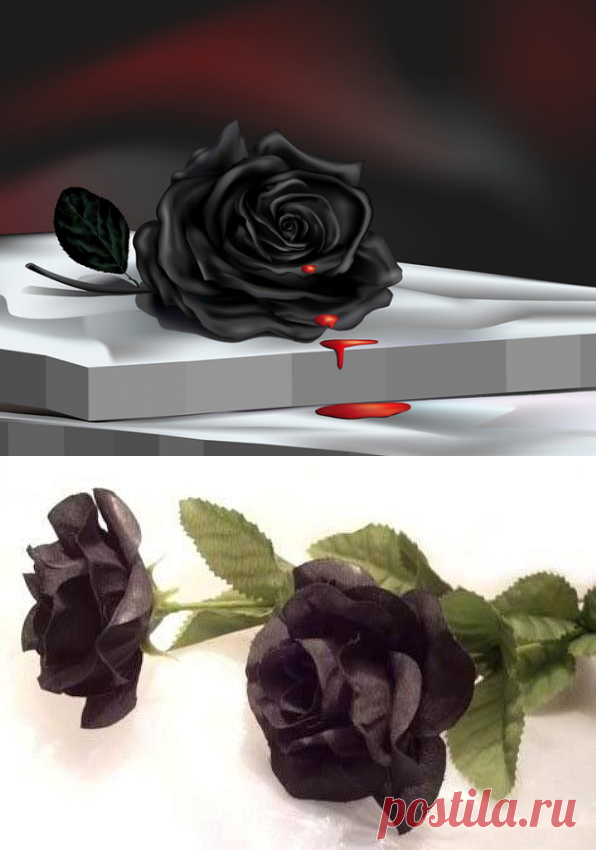 (99) Одноклассники