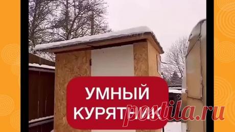 Самый шикарный курятник!