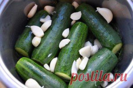 МАЛОСОЛЬНЫЕ ОГУРЦЫ
.
Вкуснотища необыкновенная!
Описание рецепта в нашем источнике по ссылке: ►►► https://urlforum.info/t9
Приятного аппетита, надеюсь, вам понравится!