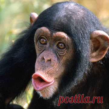 Правила русского языка в картинках -3
