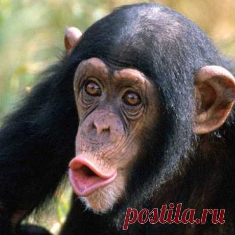 Правила русского языка в картинках -3