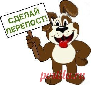 Золотое правило жизни: не переживай из-за того, что ты не в силах изменить, прими ситуацию такой, какая она есть. Ведь мы не пытаемся изменить погоду, а просто одеваемся по погоде.