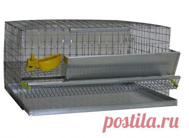 Клетка для перепелов на 20 голов 1-1, без каркаса