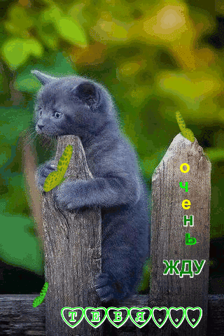 Настроение