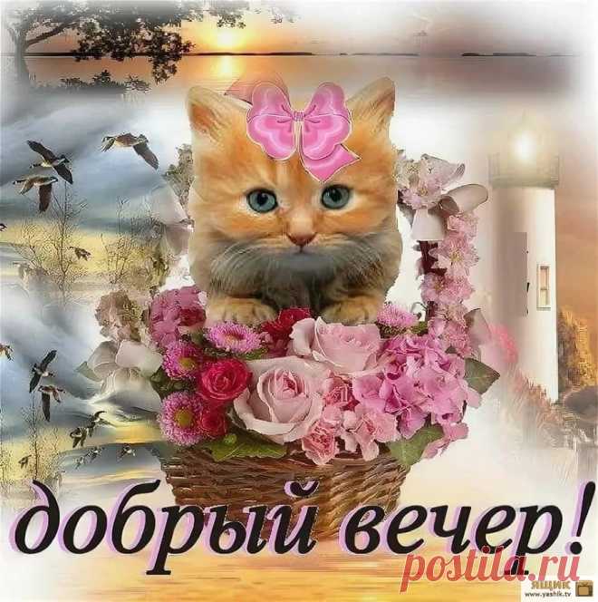 Добрый вечер - красивые картинки / Картинки: Красиво