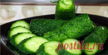 Малосольные огурчики «Хлебные»: так вкусно и так просто готовить!