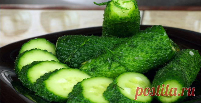 Малосольные огурчики «Хлебные»: так вкусно и так просто готовить!