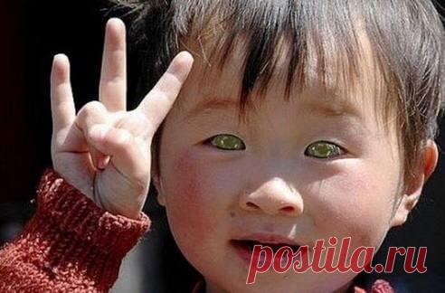 Видеть в темноте как животные. В его
глазах есть тапетум- тип клеток,
отвечающий у животных за зрение в
темноте. У человека такие клетки
найдены впервые