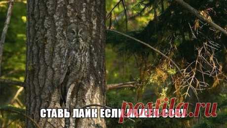 Диалоги
