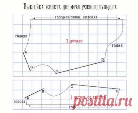 Одежда для французского бульдога своими руками: выкройки
