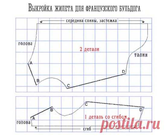 Одежда для французского бульдога своими руками: выкройки