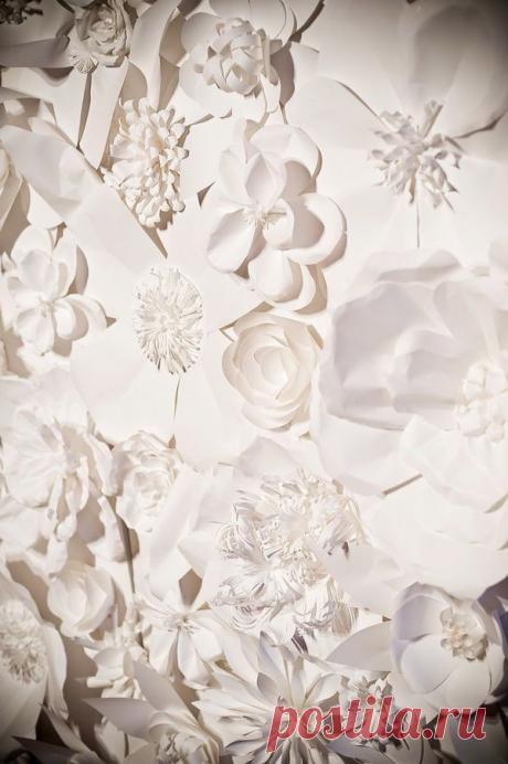 Бумажные цветы