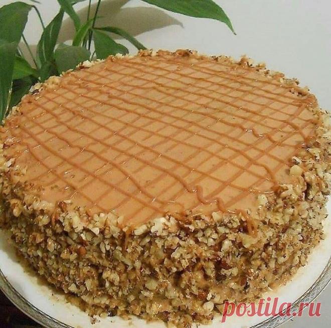 Ореховый тортик

Бисквит:
6 яиц
3 стакана сахара
3 стакана муки
1 стакан молока
1 стакан растительного масла
2ч ложки разрыхлителя.

Яйца взбить пару минут, добавить сахар и взбить до пышности. Уменьшить скорость, добавить молоко, раст.масло. Затем все сухие ингредиенты. Тесто разделить на две части, во вторую добавить какао. У меня форма 24см, печь до готовности при 180°, минут 25-30.
Бисквиты пекла ночью, как остыли разделила на две части, закрыла пищевой пленкой и убрал...