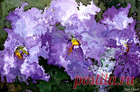 Черных Александр Дмитриевич
Сан Чад, San Chad 
Доктор наук, автор 14 книг, 13 патентов и более 100 научных публикаций. Участник Всемир-ного (1989, Пекин) и Междуна-родных Конгрессов.