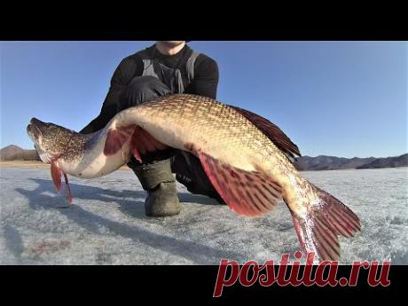 Ищу вариант правильной длины поводка для фидера