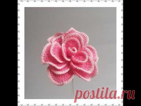 CAMELLIA