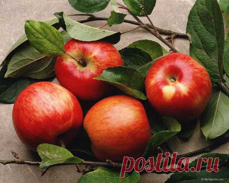 4 урок - Сделай себя сам | Сделай себя сам