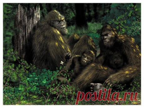 Sasquatch Art
(Изображение JPEG, 543 × 407 пикселов)