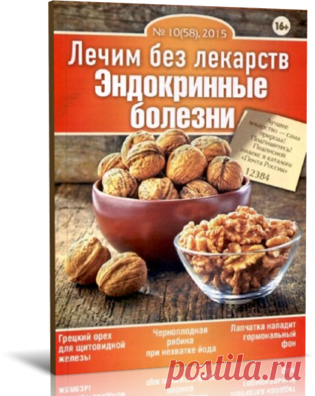 Читать онлайн / Лечим без лекарств № 10 2015