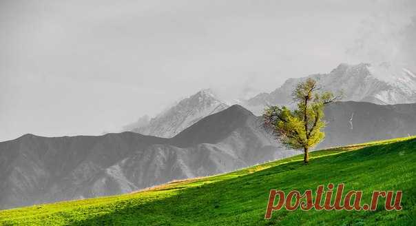 «Одиночество». Горы Киргизии. Автор фото — Василий Шумкин: nat-geo.ru/photo/user/297413/