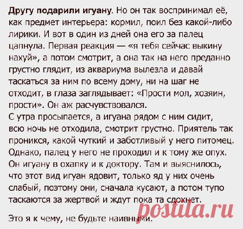 (16) Мой Мир@Mail.Ru