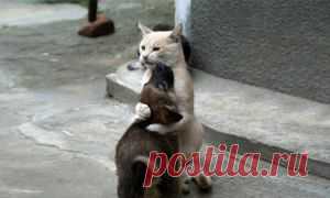 AdMe — Творчество. Свобода. Жизнь.