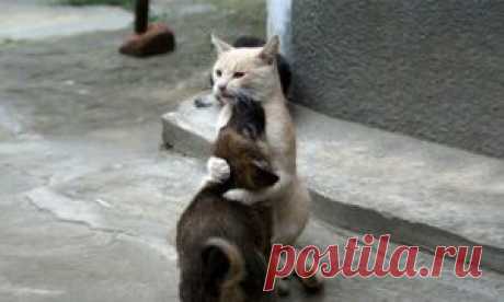 AdMe — Творчество. Свобода. Жизнь.