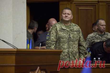 Прозоров раскрыл цель секретного письма о неподчинении генералов Залужному. По мнению экс-офицера СБУ, письмо могли подготовить сами военные, чтобы Залужный мог уйти с поста и не стать «козлом отпущения».