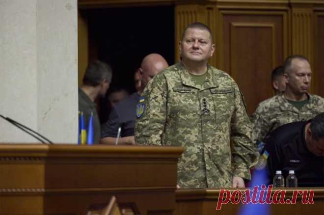 Царев: информация об аресте Залужного СБУ поступает с Украины. Офис Владимира Зелинского хочет добиться от экс-главкома отказа от президентских амбиций.