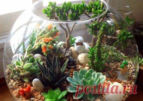 Флорариумы: виды, описание, идеи оформления ~ Planetalsad