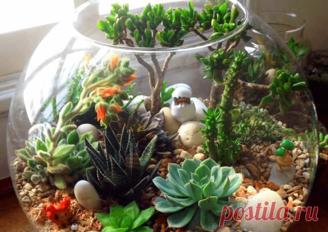 Флорариумы: виды, описание, идеи оформления ~ Planetalsad