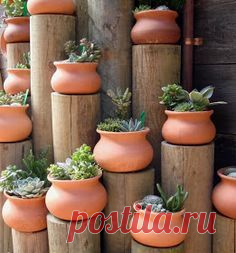 (8) Pinterest