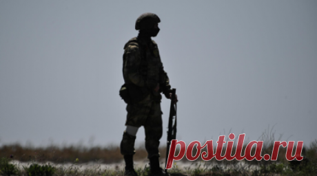 Боец терробороны рассказал, что петух спас ему жизнь в Курской области. Боец территориальной обороны Курской области с позывным Грузин рассказал, что деревенский петух спас ему жизнь. Читать далее