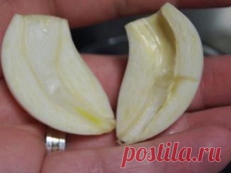 Этот салат удивительно красивый по оформлению и очень вкусный. Я готовила его на новый год. — Копилочка полезных советов