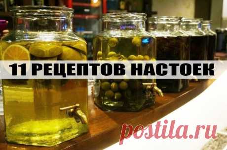Одиннадцать рецептов настоек | Самые вкусные кулинарные рецепты