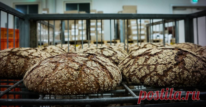 Yesterday I was again at Viipurilainen bakery @tepithebaker As many Russian braed lovers asked the recipe of this guy, I took one from Bread Magazine issue 2  Big thanks to @jarkkolaine for this and many others usefull articles. --------------------------------------------------
Все начинается с ржаной закваски. Этот способ немного отличается от традиционного финского способа изготовления ржаного хлеба, где стартером являются остатки предыдущего теста.

Смешать 100 г ржано...