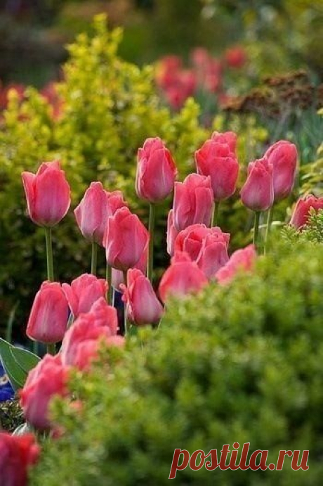 Мир — это отражение нас самих. Если мы смотрим на него с радостью и добротой, то и он тем же нам отвечает…
