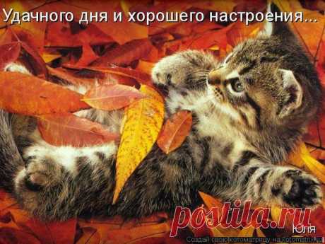 Стена