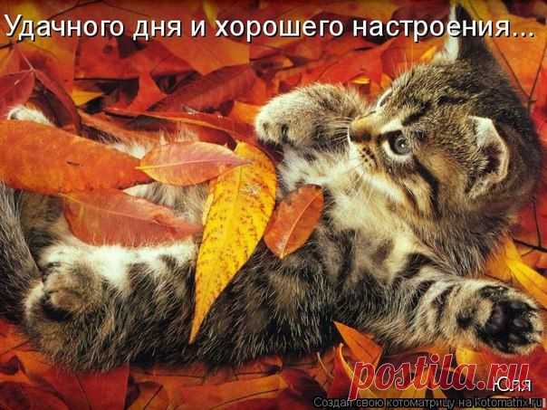 Стена