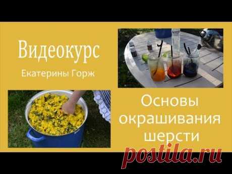 Окрашивание шерсти и других волокон. Приглашение на курс "Основы окрашивания шерсти".