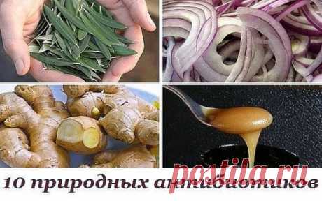 10 природных антибиотиков: факты, которые тщательно скрывают фармацевтические компании.