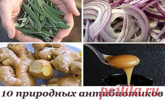 10 природных антибиотиков: факты, которые тщательно скрывают фармацевтические компании.