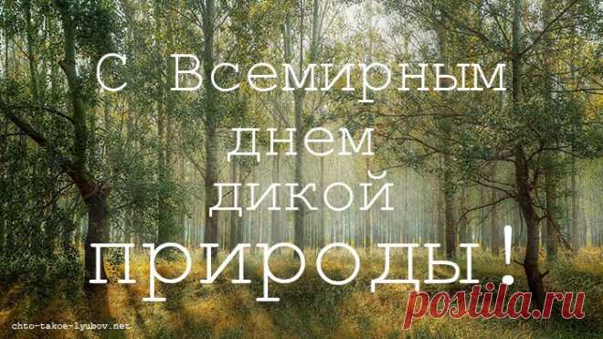 Мы оставим шутки, игры,
Нынче будем веселей
Поздравлять амурских тигров,
Венценосных журавлей.