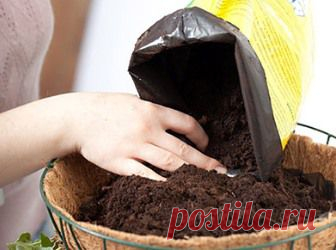 Как использовать торф в садоводстве? Виды грунтов | 6 соток