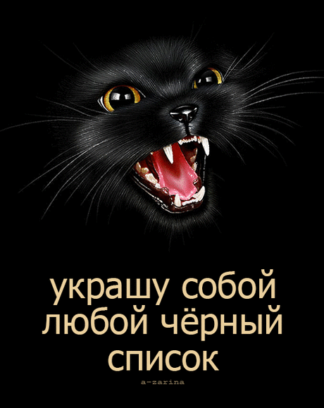 (163) Pinterest