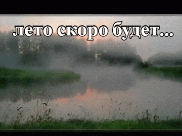 mZMNnR.gif (360×270)
